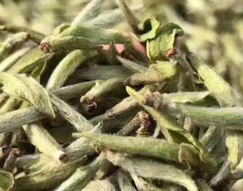 有福鼎白茶“霸王”之称的荒野茶，真有那么厉害吗？