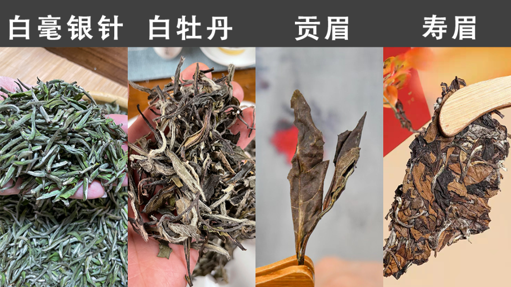 老白茶叶片易碎，是茶叶品质不好的表现吗？